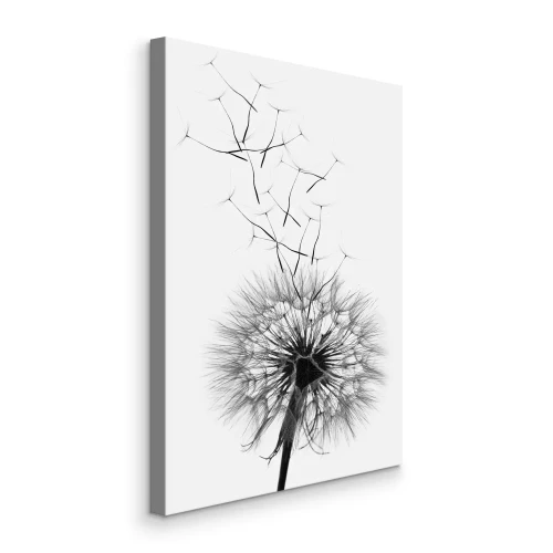 Tableau  Pissenlit noir et blanc avec des graines flottantes