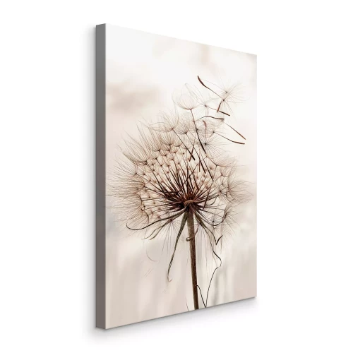 Tableau  Pissenlit sous une lumière chaude, avec des graines flottantes