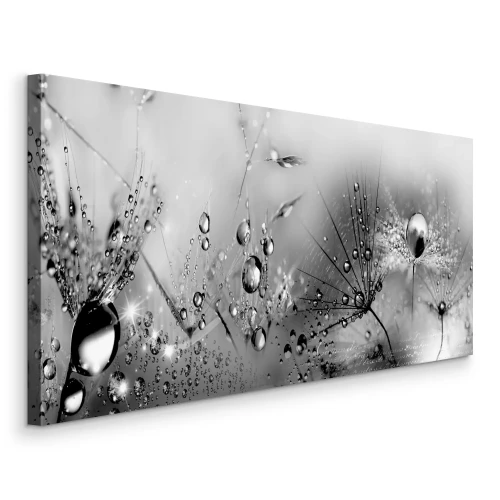 Tableau  Pissenlits couverts de rosée dans un style monochrome