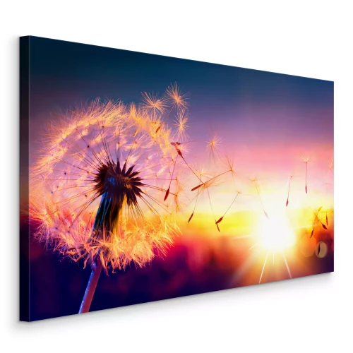 Tableau  Graines de pissenlit volantes au crépuscule