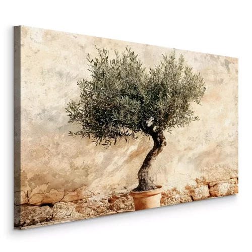 Tableau  Olivier en pot