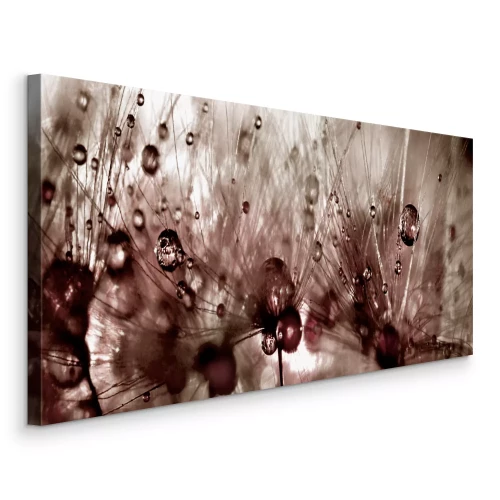 Tableau  Motif de pissenlit avec des gouttes brillantes dans des tons bruns