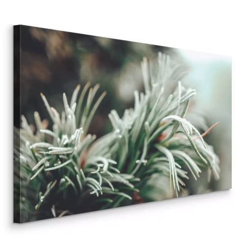 Tableau  Gros plan d'une branche de pin vert