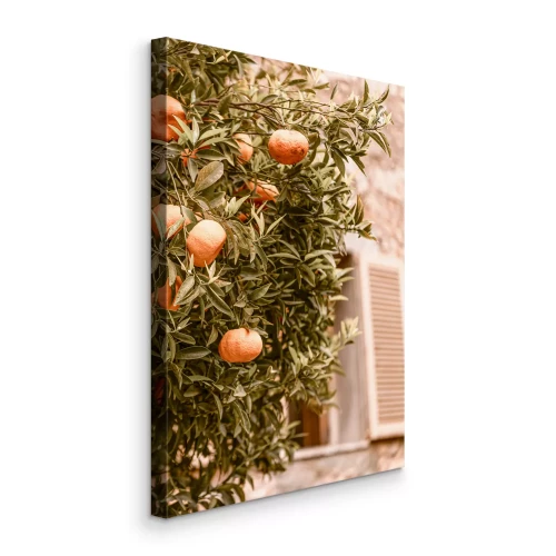 Tableau  Un agrume près d'un bâtiment dans un pays chaud