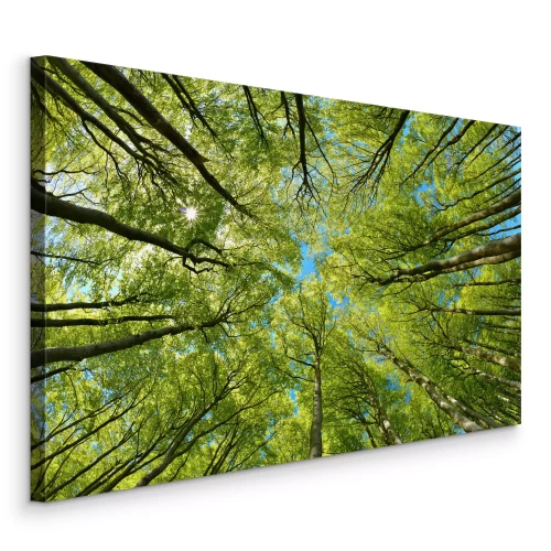 Tableau  Cimes vertes des arbres se détachant sur le ciel bleu