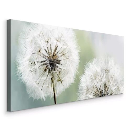 Tableau  Pissenlits légers dans des teintes de lumière naturelle