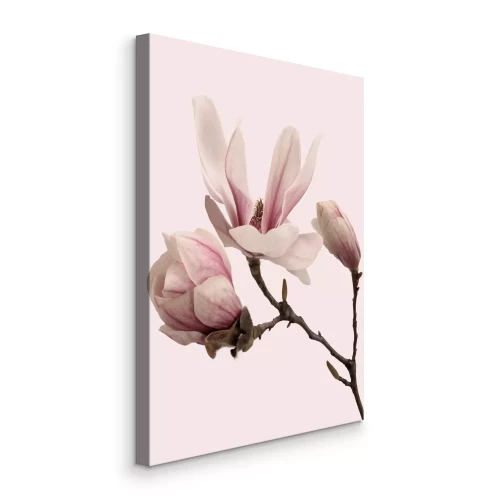Tableau  Une subtile branche de magnolia rose pastel