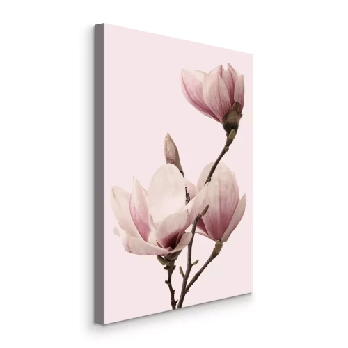 Tableau  Branche de magnolia avec des bourgeons sur fond rose