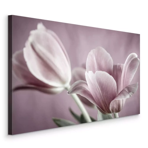 Tableau  Tulipes délicates aux teintes pastel