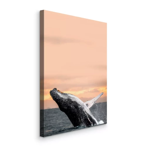 Tableau  Une baleine bondit dans l'eau au coucher du soleil