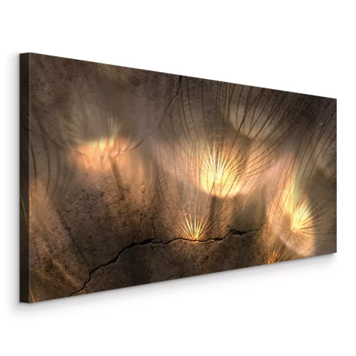 Tableau  Pissenlits baignés d'une lumière dorée sur fond de rocher