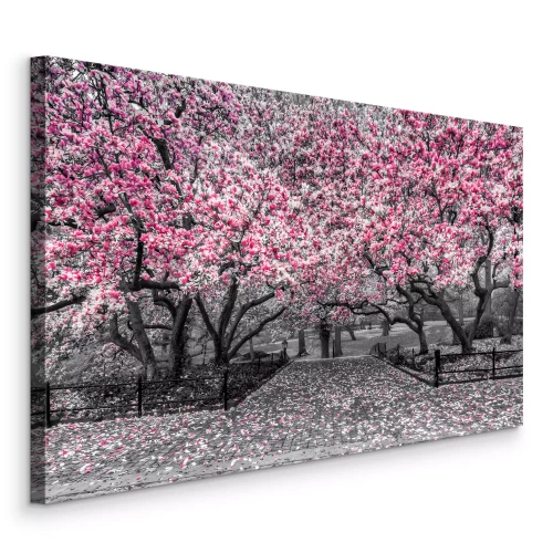 Tableau  Des magnolias en fleurs bordent un chemin pavé.