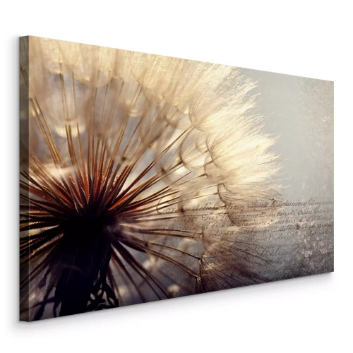 Tableau  Pissenlit sur fond texturé avec l'inscription