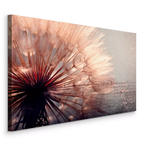 Tableau  Pissenlit rose et ambré avec inscription en arrière-plan