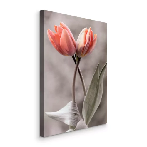Tableau  Deux tulipes roses sur un fond gris flou