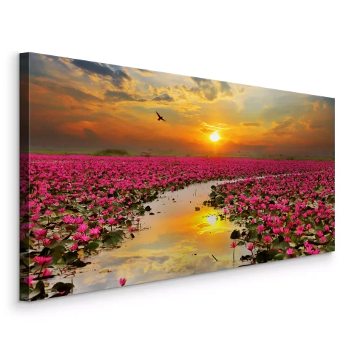 Tableau  Champ de lotus le matin