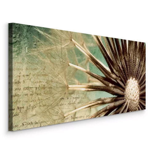 Tableau  Photographie macro de graines de pissenlit sur un fond vert et beige