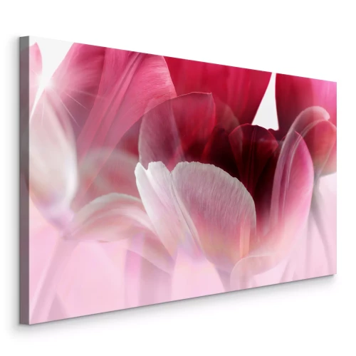 Tableau  Pétales de tulipe rose dans les rayons du soleil
