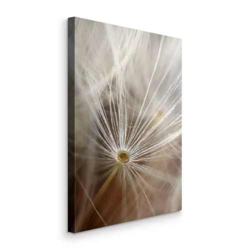 Tableau  Fibres délicates de pissenlit sur fond flou