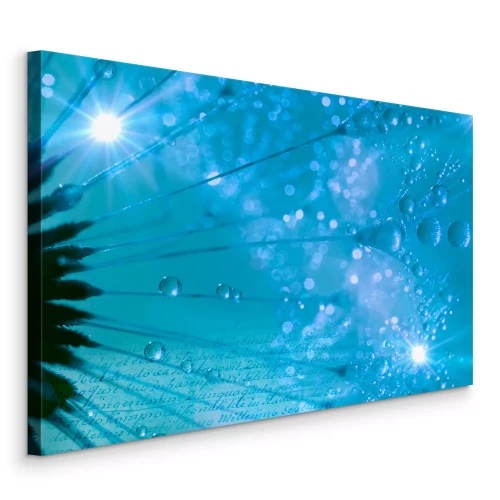 Tableau  Macrophotographie d'un pissenlit aux tons bleus