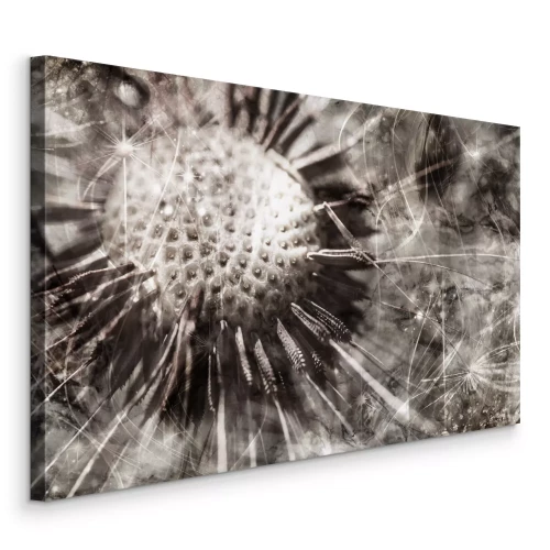 Tableau  Gros plan d'un pissenlit en tons monochromes