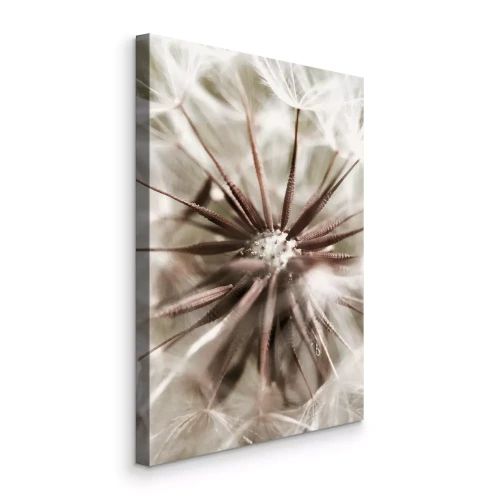 Tableau  La structure des graines de pissenlit dans les tons crème