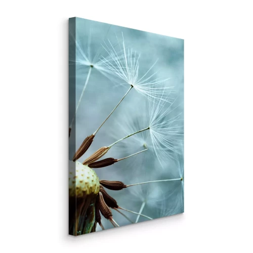 Tableau  Graines de pissenlit aux tons froids