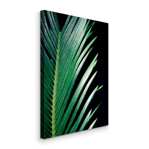 Tableau  Feuilles de palmier pointues sur fond noir