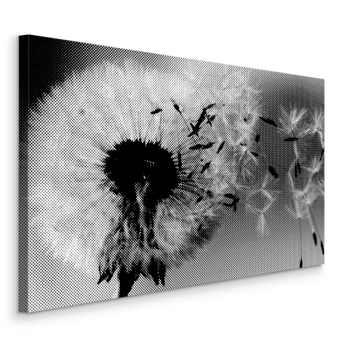 Tableau  Pissenlit noir et blanc dans le vent