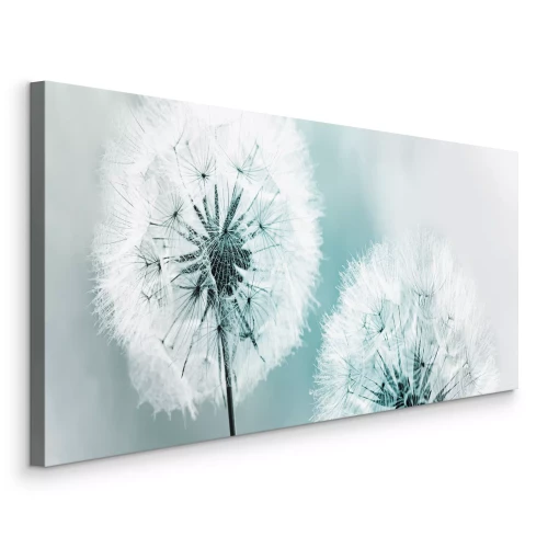 Tableau  Deux pissenlits sur un fond bleu frais