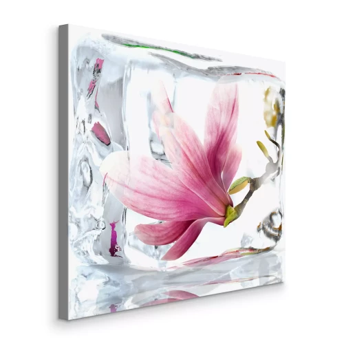 Tableau  Une fleur de magnolia prise dans de la glace transparente