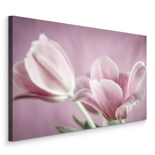 Tableau  Tulipes roses romantiques sur fond flou