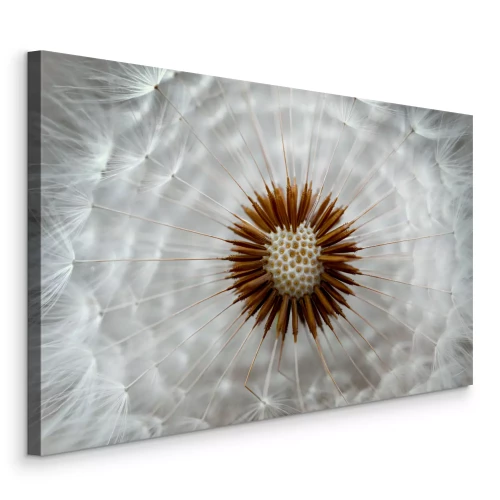 Tableau  Gros plan sur le centre du pissenlit