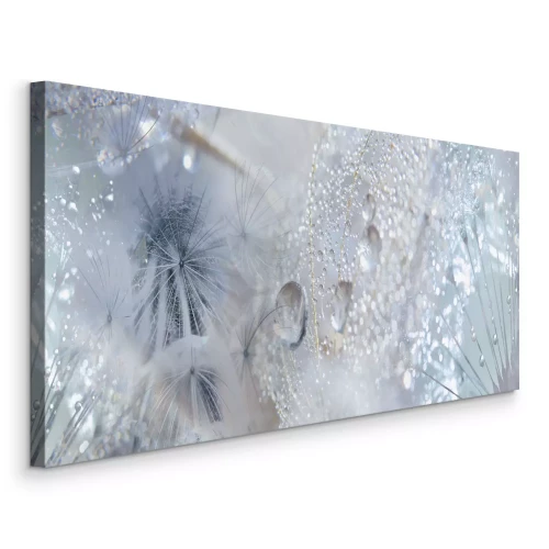 Tableau  Pissenlits dans une composition lumineuse avec de la rosée