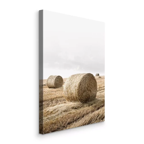 Tableau  Balles de foin sur chaume sec