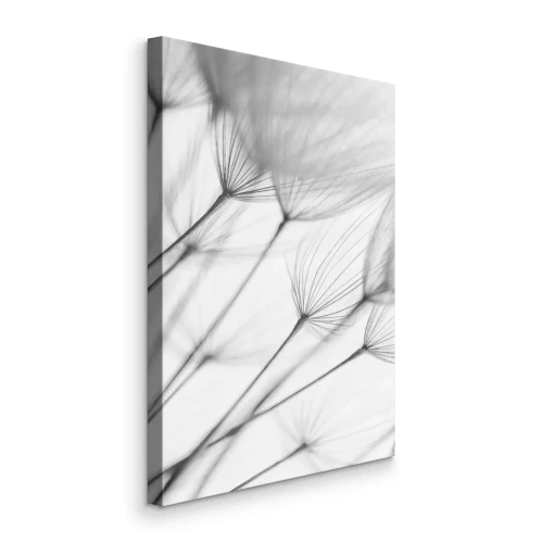 Tableau  Pissenlits minimalistes dans des tons de gris