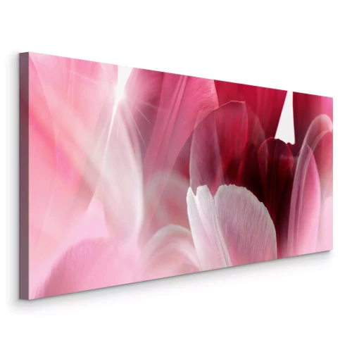Tableau  Pétales de tulipe rose dans une douce lumière