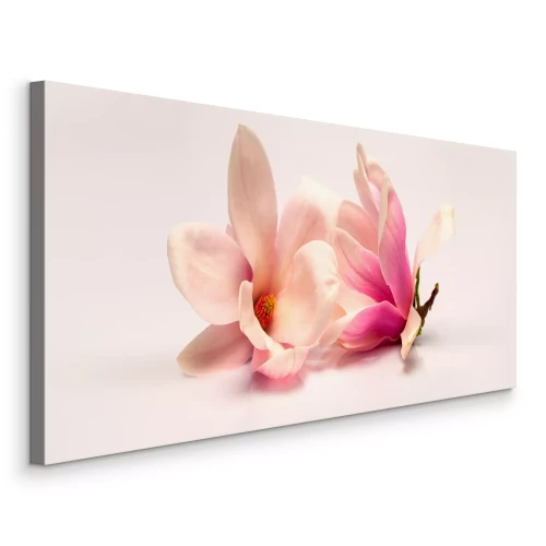 Tableau  Fleurs de magnolia couchées dans des tons pastel
