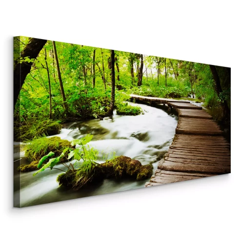 Tableau  Rivière forestière entre les arbres verts