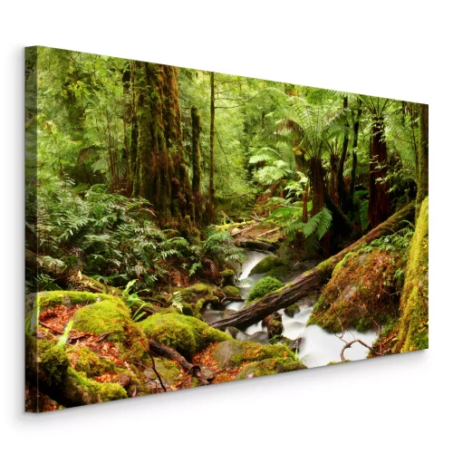 Tableau  Cascade et ruisseau dans une forêt verdoyante