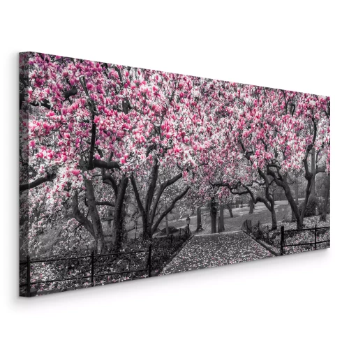 Tableau  Des magnolias en fleurs bordent une allée de pierre