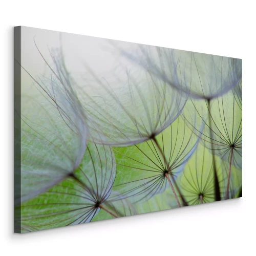 Tableau  Gros plan sur des graines de pissenlit dans le vert