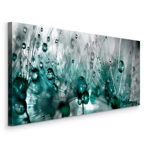 Tableau  Gros plan d'un pissenlit avec des gouttes d'eau dans le feuillage.