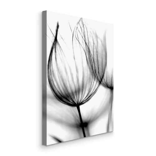 Tableau  Structures délicates d'un pissenlit en macrophotographie