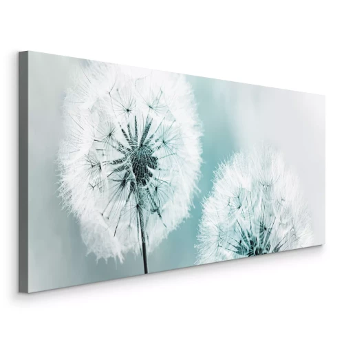 Tableau  Deux pissenlits dans la lumière froide