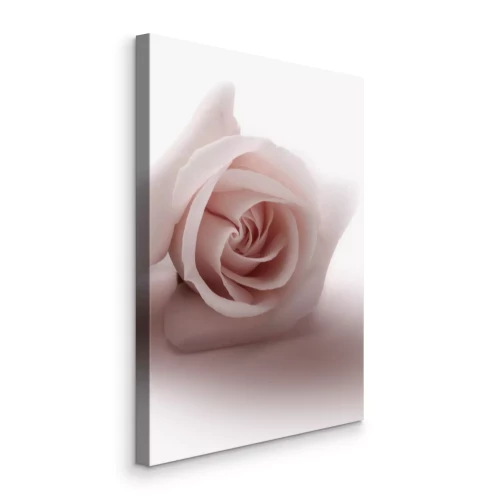 Tableau  Floral Glamour Glow (1-part) - Delicate and Pastel Pink Rose
