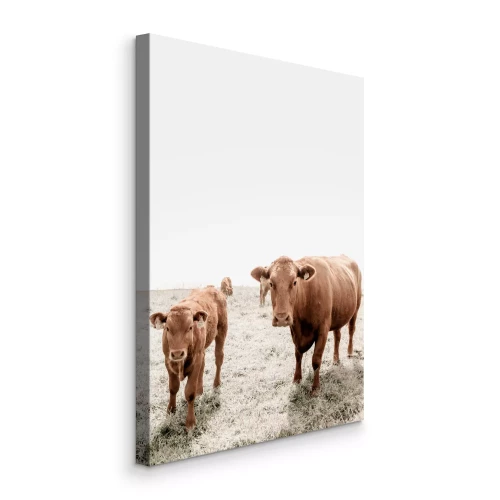 Tableau  Vaches brunes debout dans un champ herbeux