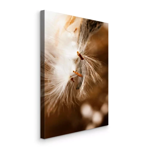 Tableau  Graines de pissenlit délicates sur fond brun