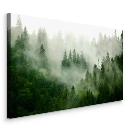 Tableau  Arbres dans le paysage naturel du brouillard