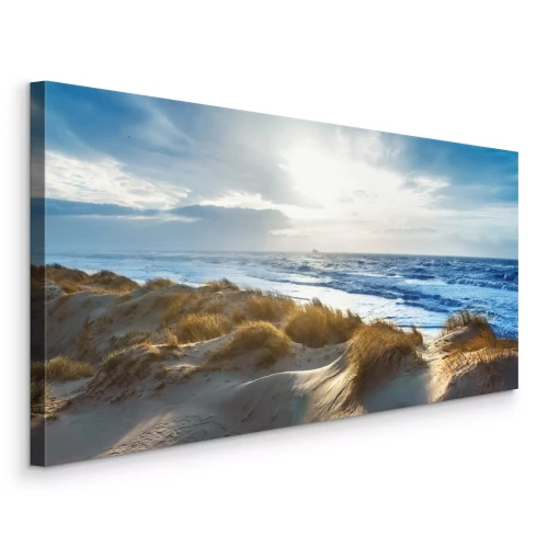 Tableau  Côte dunaire avec de hautes herbes
